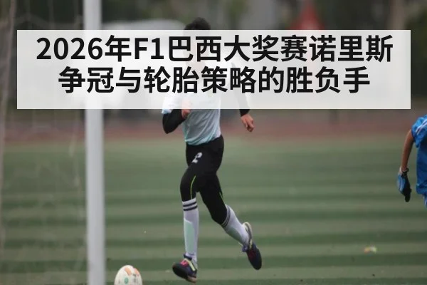 2026年F1巴西大奖赛诺里斯争冠与轮胎策略的胜负手 - hth