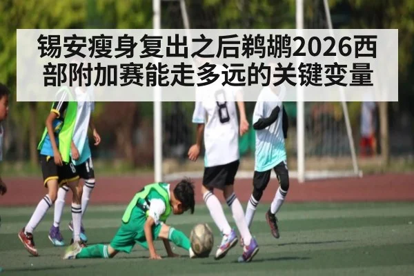 锡安瘦身复出之后鹈鹕2026西部附加赛能走多远的关键变量